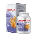 Packung von Cordyceps Pulse, 20 Capsules